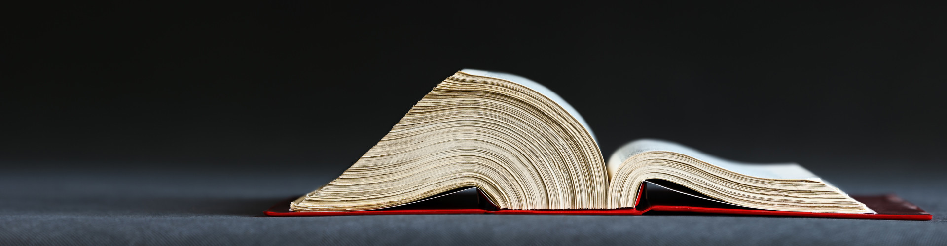 aufgeschlagenes Buch